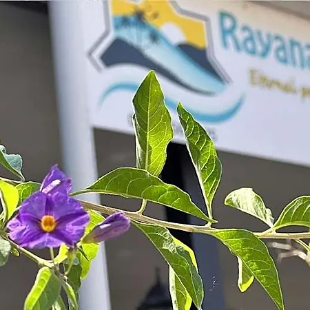 Szálloda Rayana Marmaris